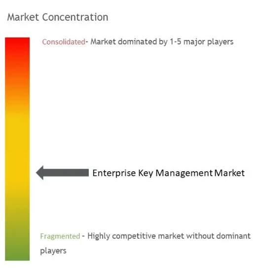 Enterprise Key Management Market Concentration